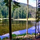 Auf dem Rundweg um den KLeinen Arbersee…