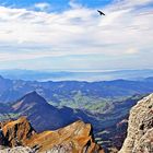 auf dem Säntis