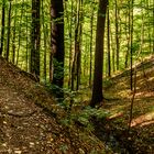 auf dem Sagenweg imRabenauer Grund - Sachsen