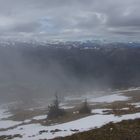 Auf dem Schafberg