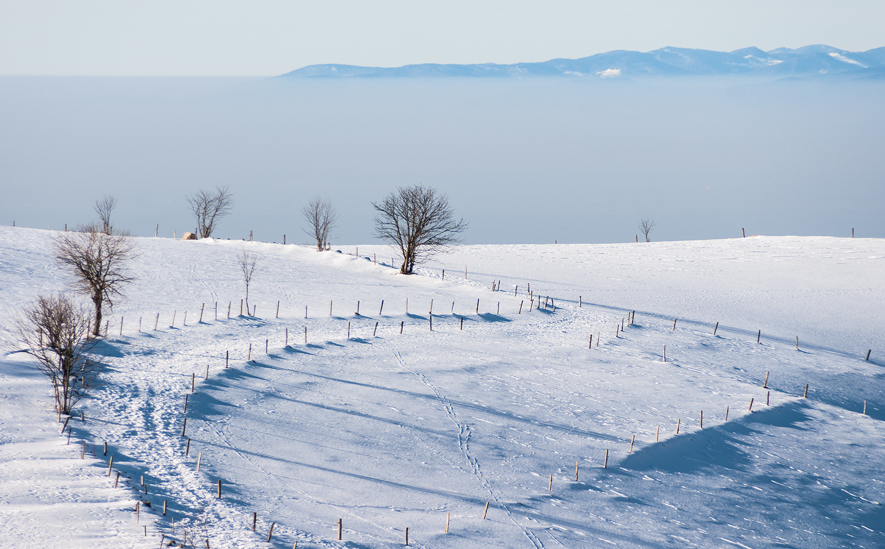 Auf dem Schauinsland