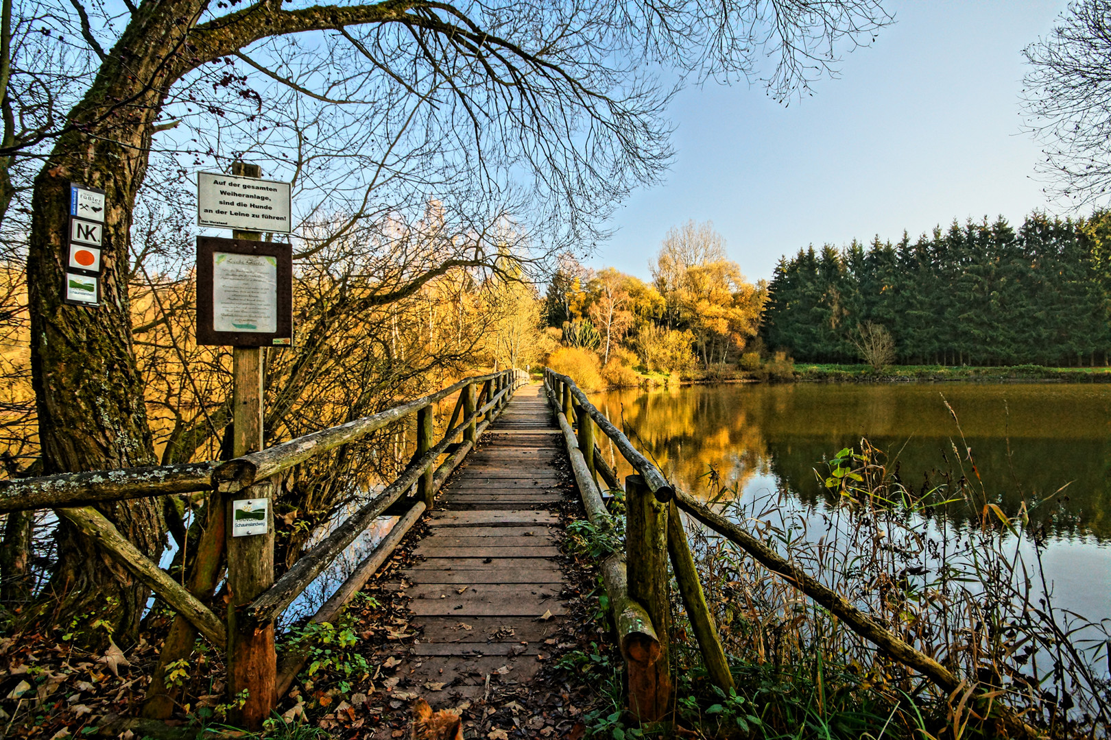 Auf dem Schauinsland-Weg