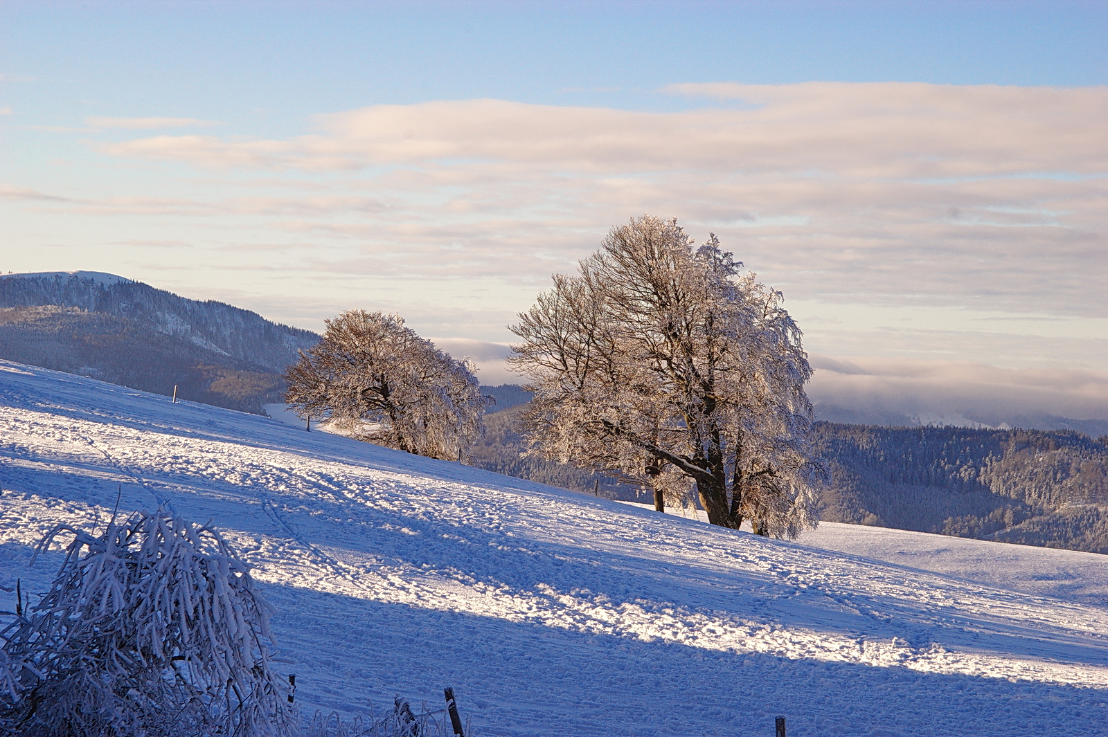 Auf dem Schauinsland_2