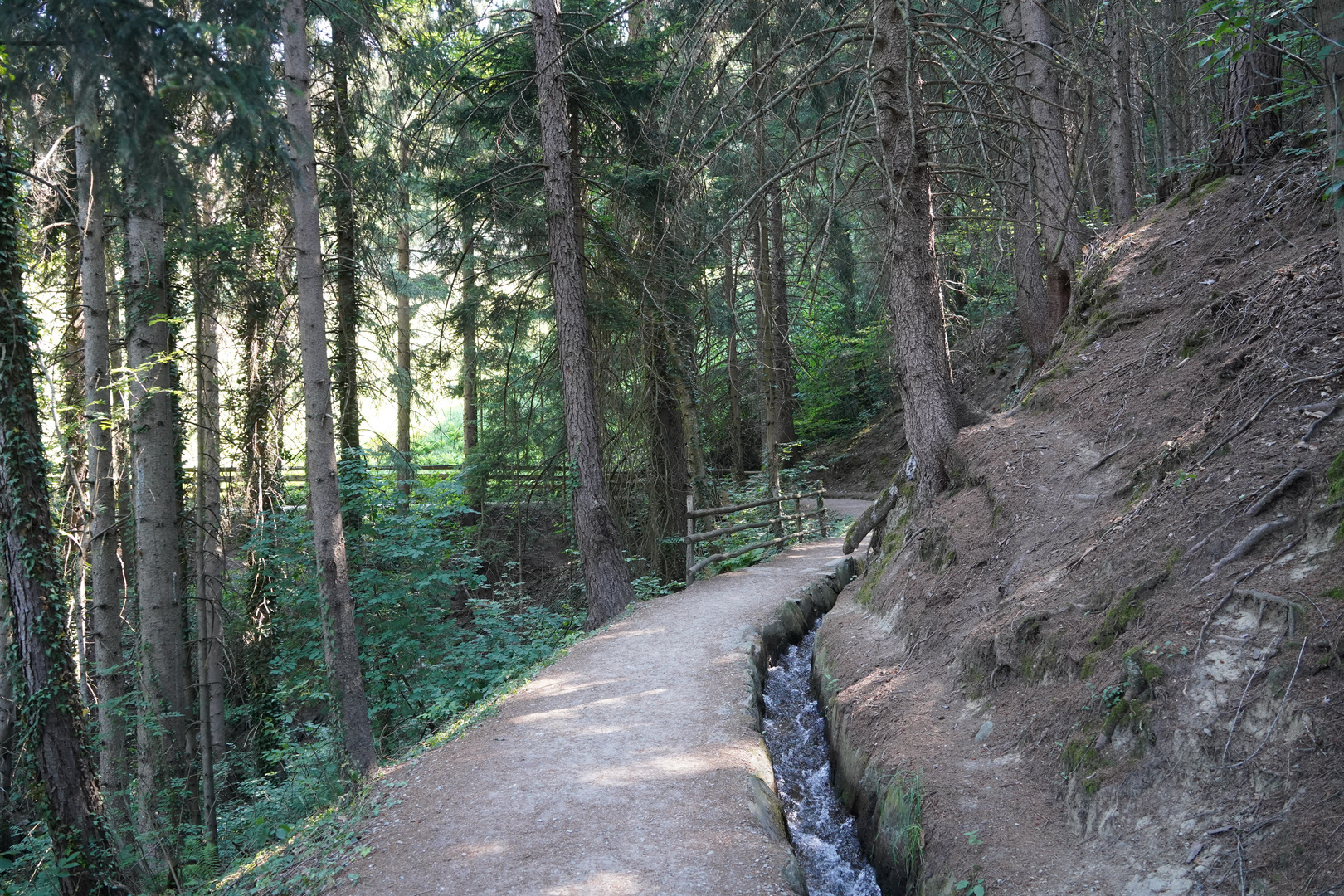 auf dem Schenner Waalweg