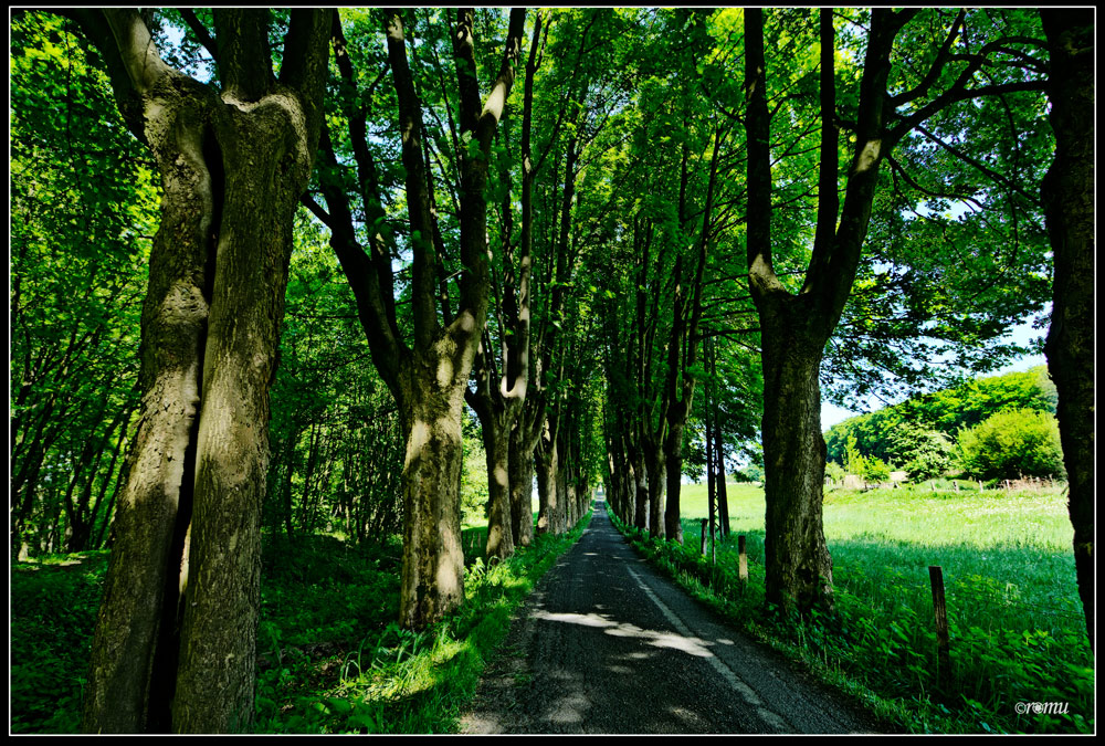 auf dem Scherenberg