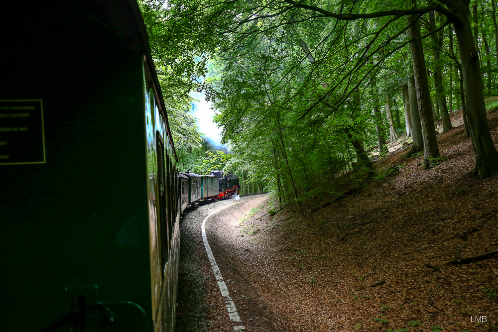 Auf dem Schienenweg...