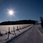 Auf dem Schlangenweg