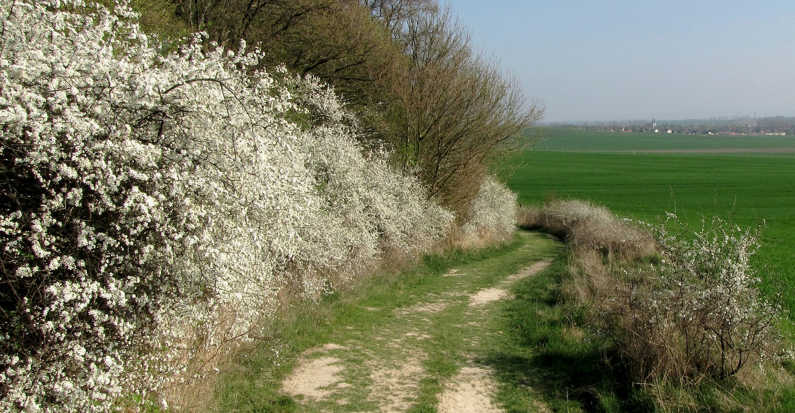 Auf dem Schlehenweg