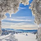 auf dem Schliffkopf/Schwarzwald