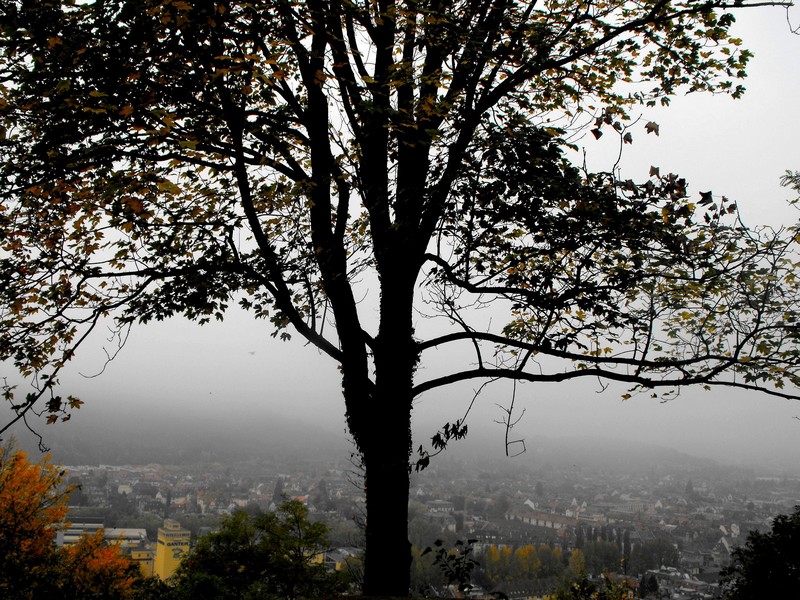 Auf dem Schlossberg, Freiburg