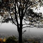 Auf dem Schlossberg, Freiburg