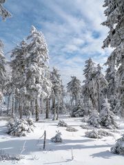 Auf dem Schneekopf 1