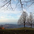 auf dem schwäbischen Vulkan