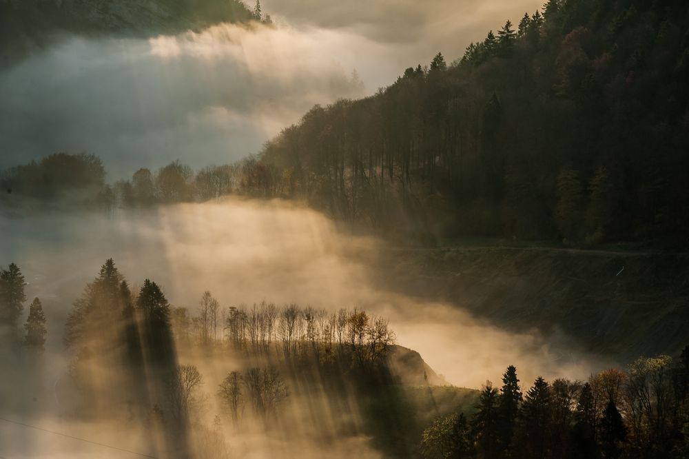 Auf dem Schweizer Belchen