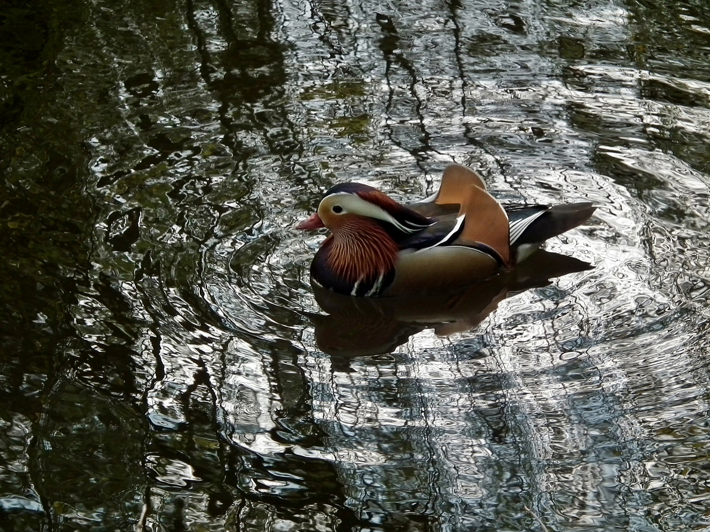 Auf dem See