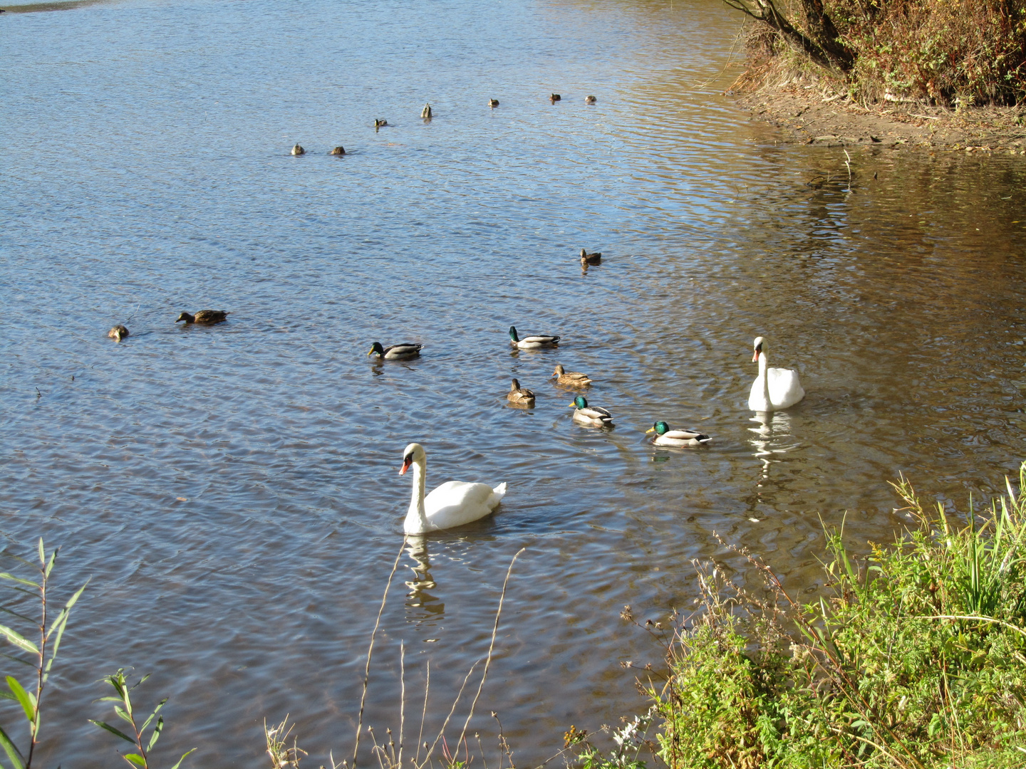 Auf dem See