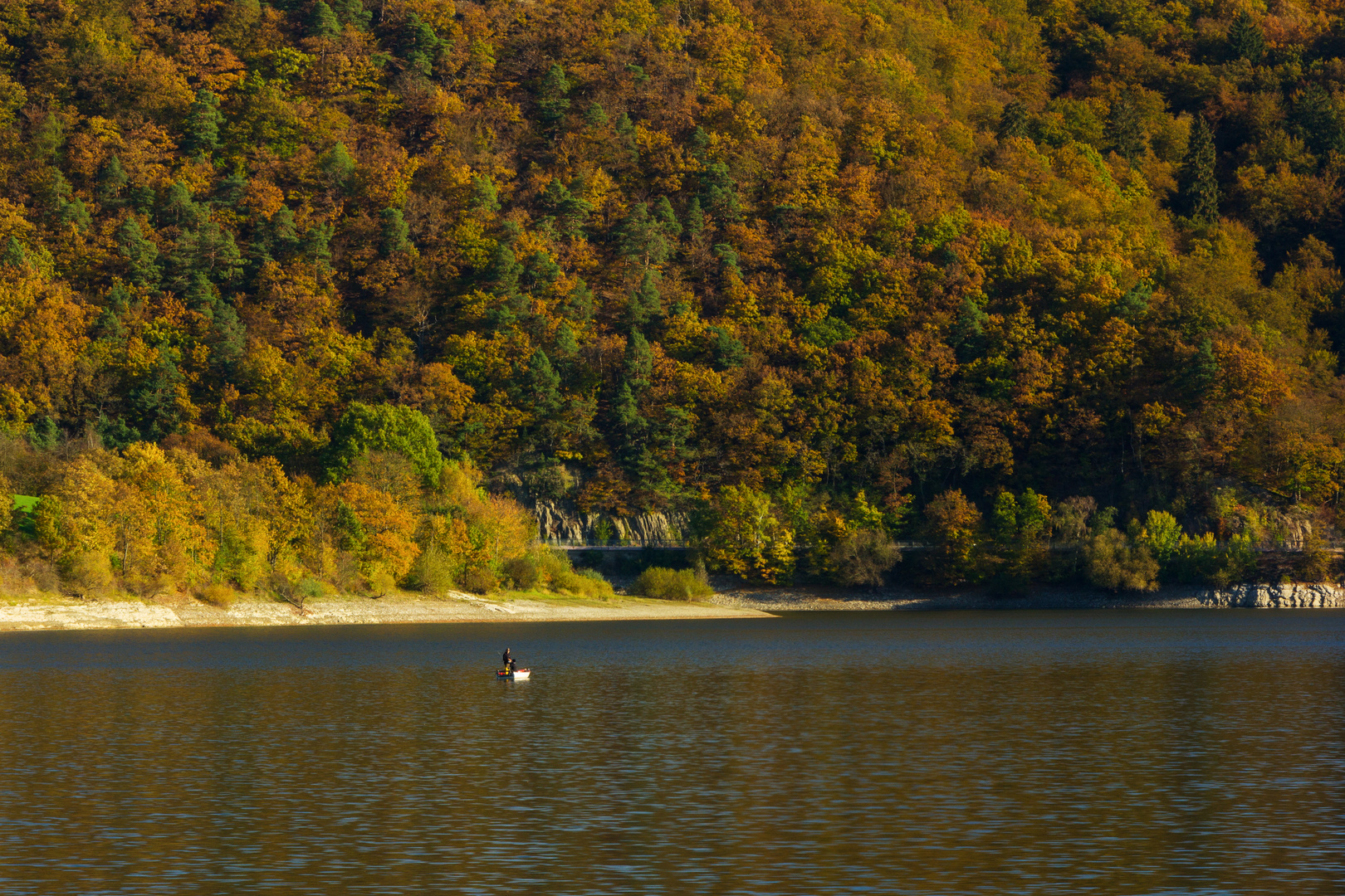 auf dem See...