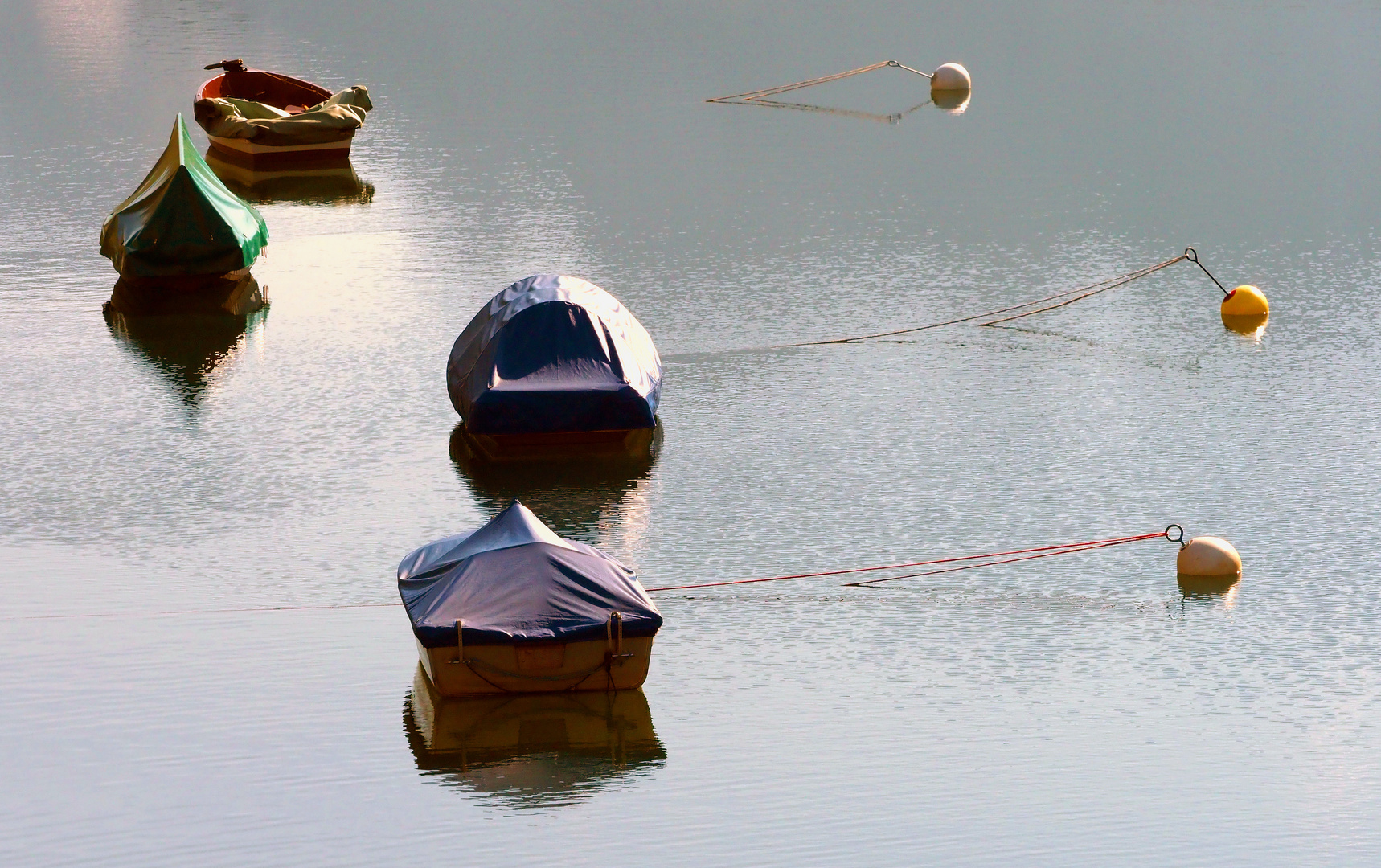 AUF DEM SEE