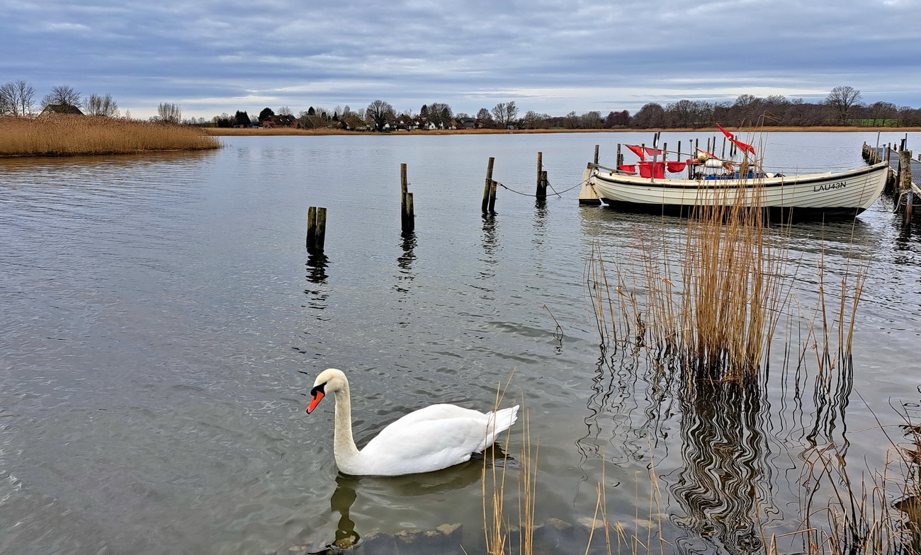 auf dem See