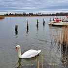 auf dem See