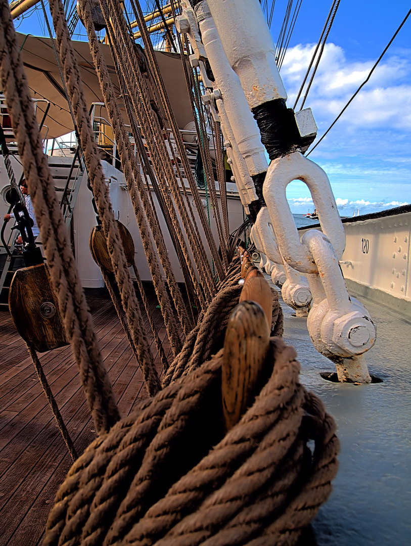 Auf dem Segelschulschiff Kruzenshtern  2