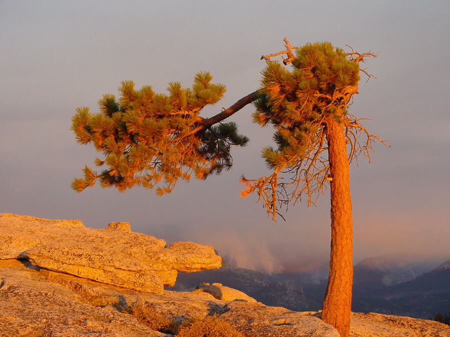 Auf dem Sentinel Dome im Yosemite