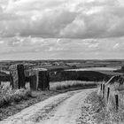 Auf dem Skulpturenweg in Bilsdorf (Lux)