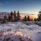 Auf dem Sonnenberg im Harz 