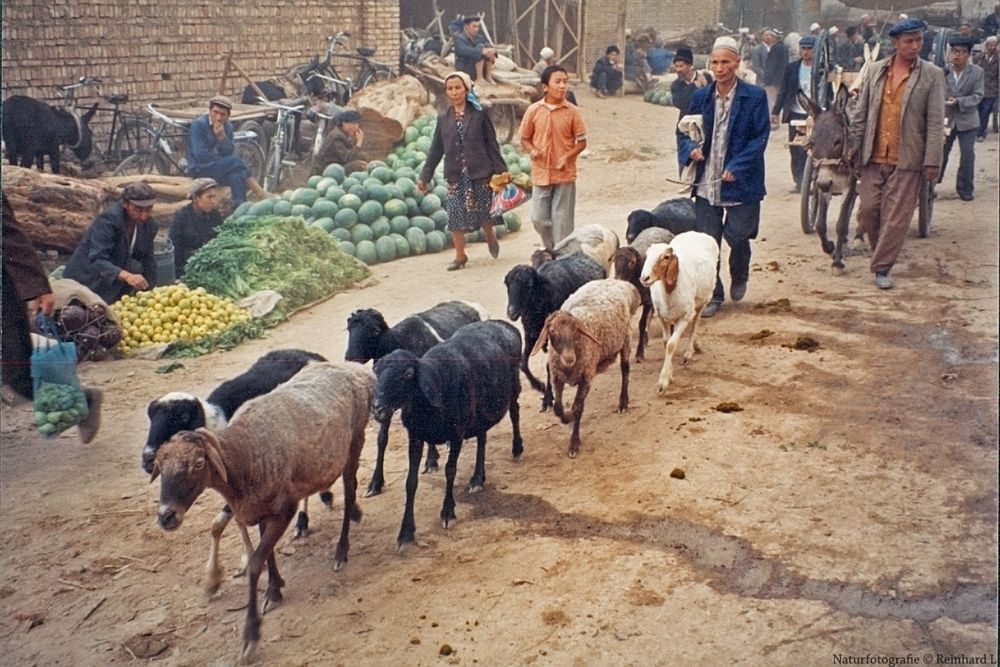  Auf dem  Sonntagsmarkt in Kashgar