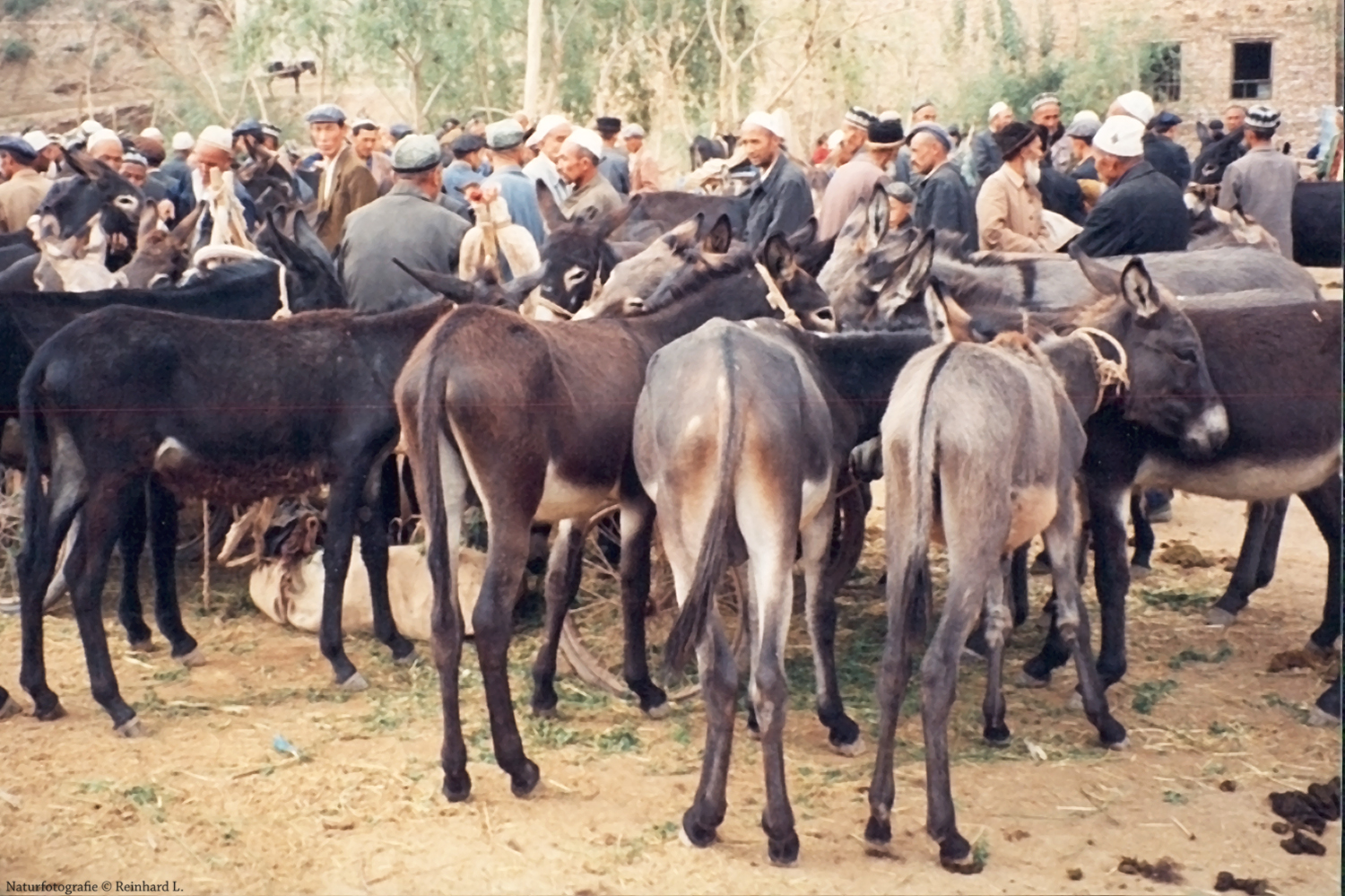  Auf dem Sonntagsmarkt in Kasjgar 2