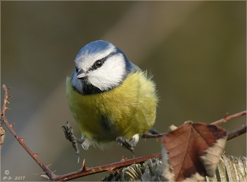 Auf dem Sprung....