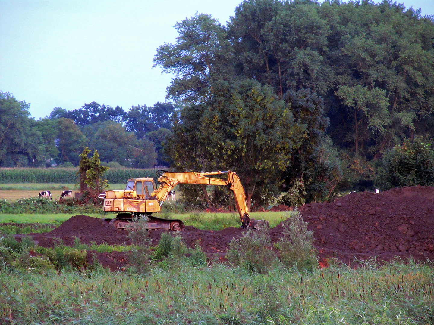 auf dem Spühlfeld von Wischhafen ...