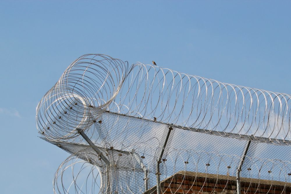 Auf dem Stacheldraht Foto & Bild fotos, dokumentation, reportage