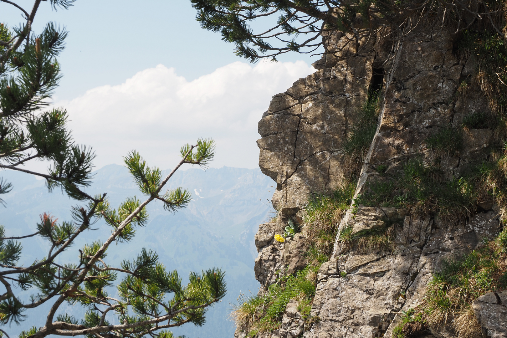 auf dem stanserhorn