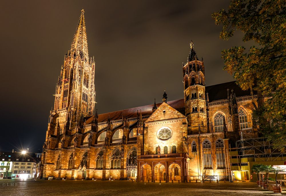 Auf dem stillen Münsterplatz