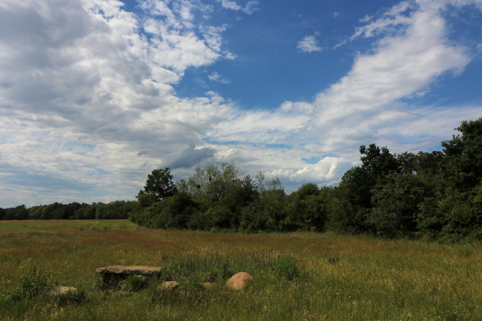 Auf dem Stopfberg