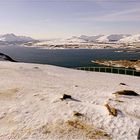 Auf dem Storstein (Tromsö)