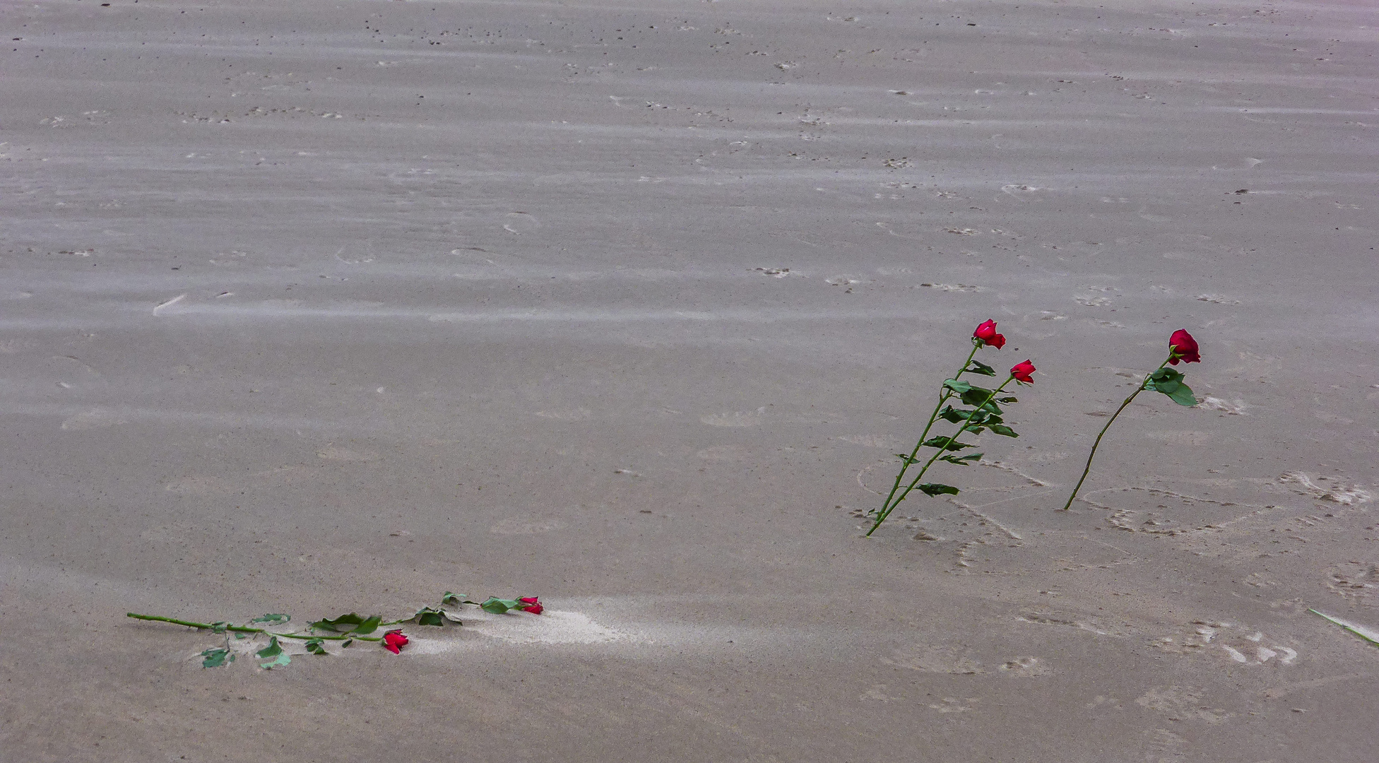 Auf dem Strand.....