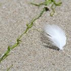 Auf dem Strand