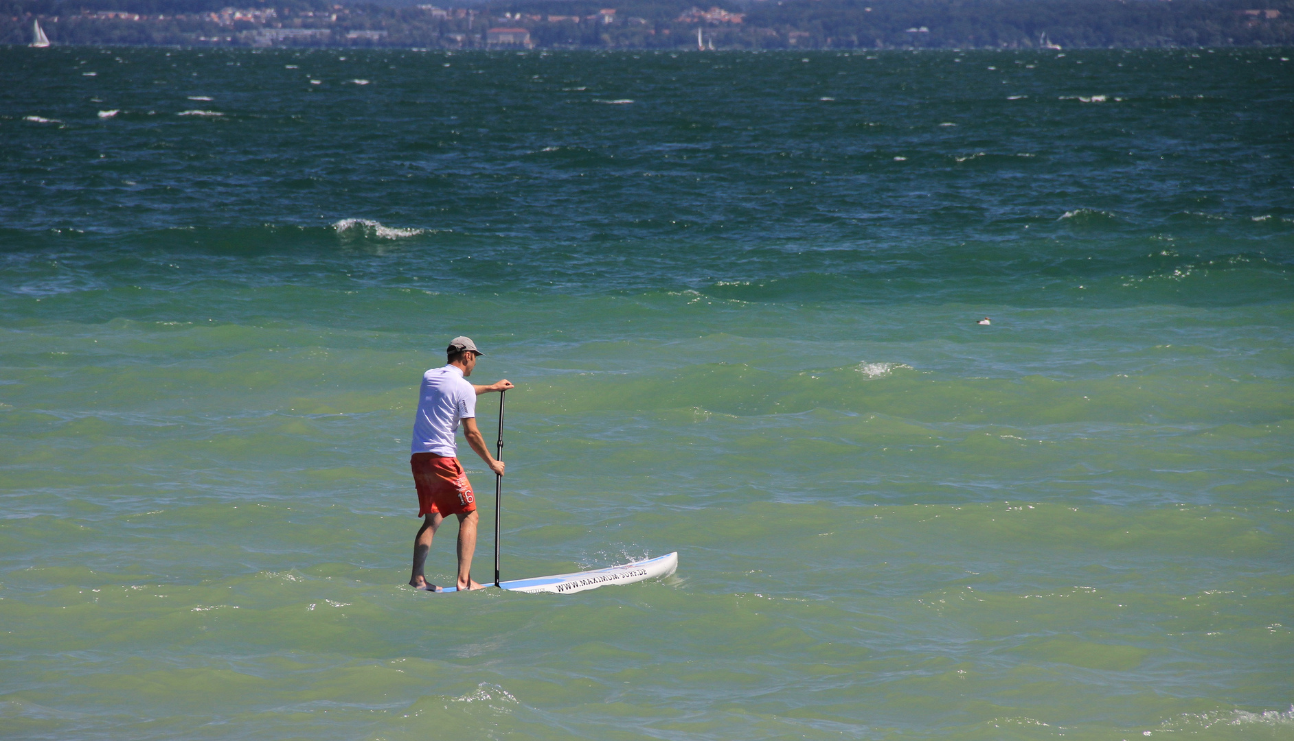 Auf dem stürmischen Bodensee..