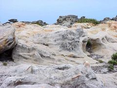 auf dem Tafelberg