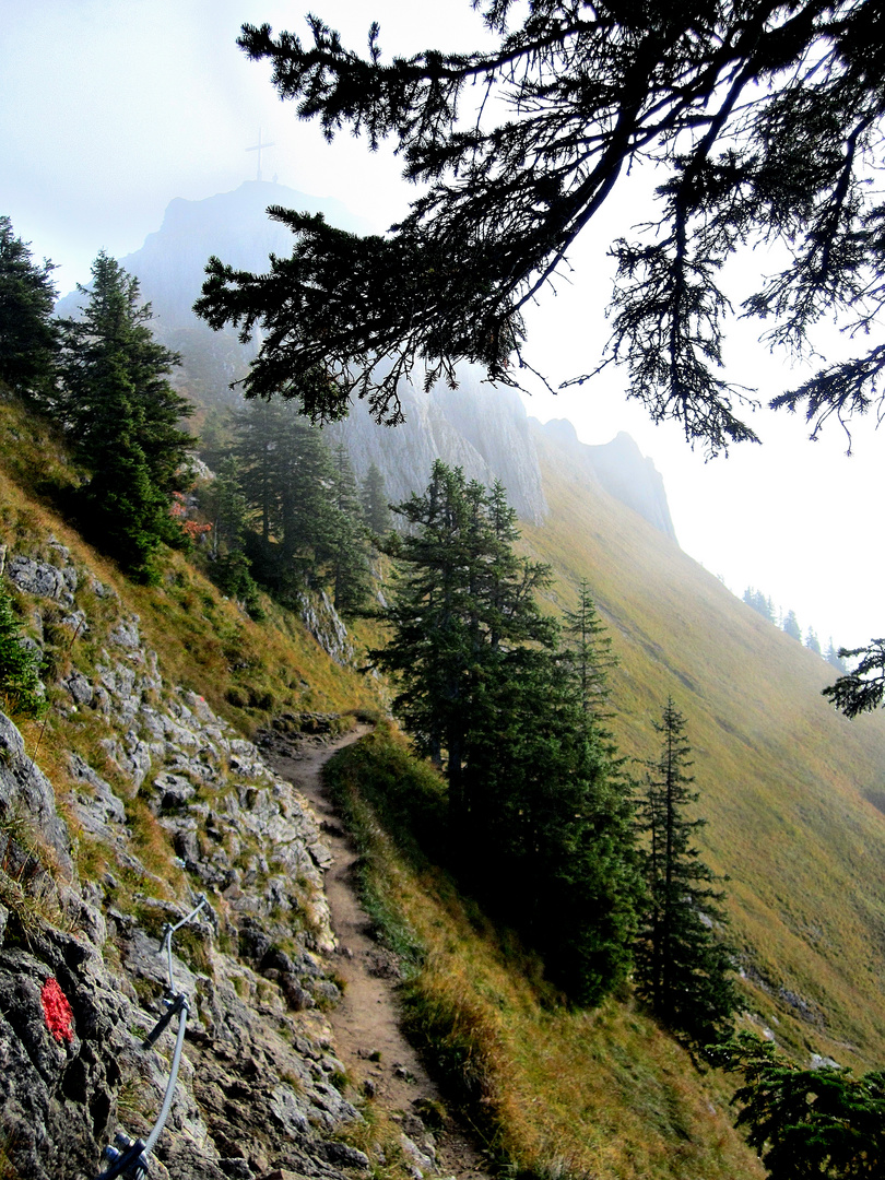 Auf dem Tegelberg mit Blick zum Branderschrofen