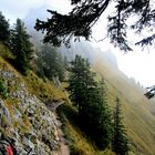 Auf dem Tegelberg mit Blick zum Branderschrofen