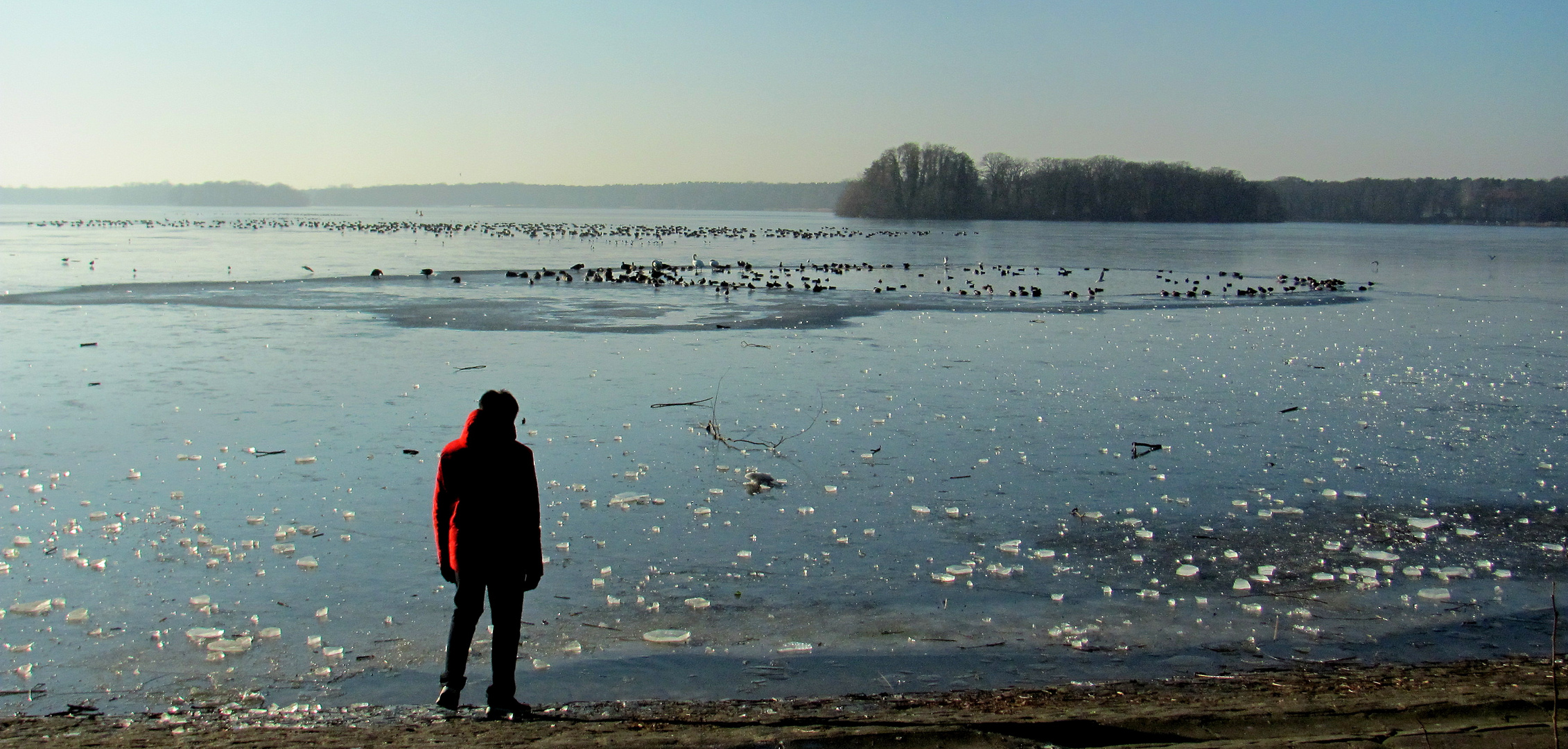 auf dem Tegeler See