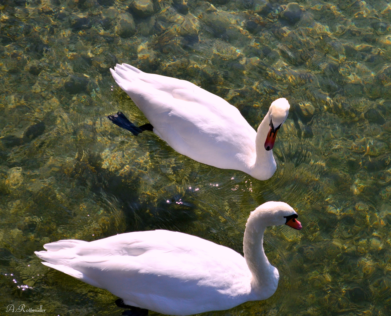 Auf dem Tegernsee 2!