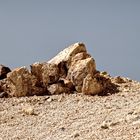 Auf dem Teide