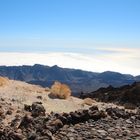 Auf dem Teide - Februar 2014 - 2