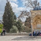 Auf dem Tempelberg in Jerusalem