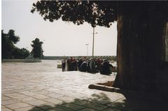 Auf dem Tempelberg in Jerusalem