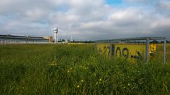 Auf dem Tempelhofer Feld